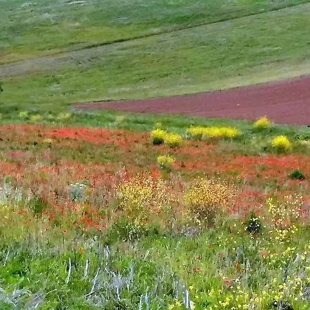 Logis Groly Avec En Campagne Proche Montauban Semesterbostad *