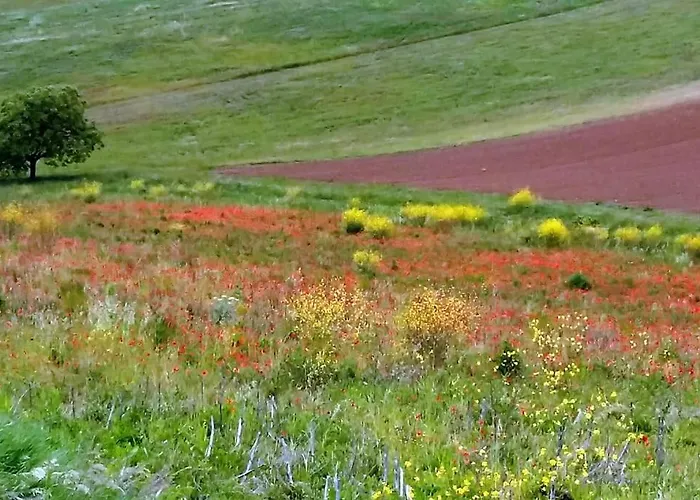 Logis Groly Avec En Campagne Proche Montauban Nyaraló *